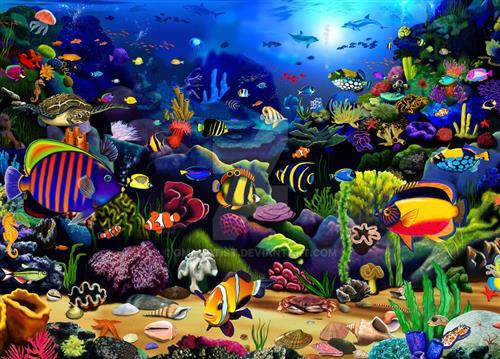 Sea life photo 